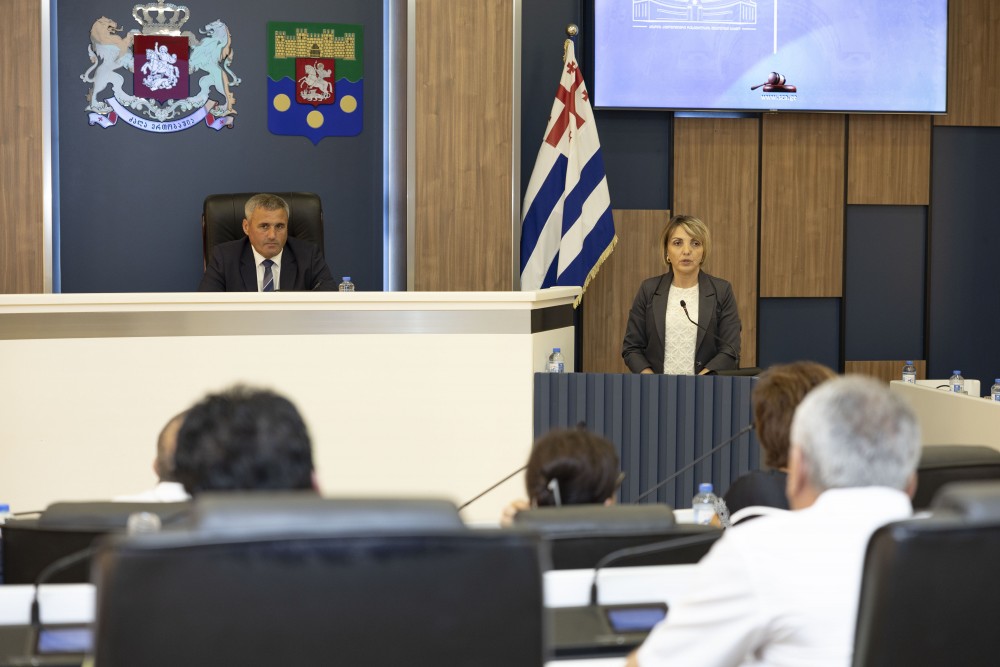 ჯანმრთელობის დაცვისა და სოციალურ საკითხთა კომიტეტთან არსებული სამეცნიერო-საკონსულტაციო საბჭოს სხდომა