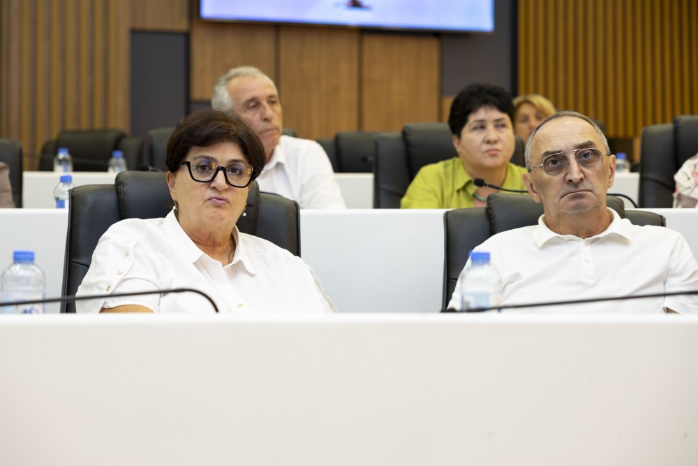 ჯანმრთელობის დაცვისა და სოციალურ საკითხთა კომიტეტთან არსებული სამეცნიერო-საკონსულტაციო საბჭოს სხდომა