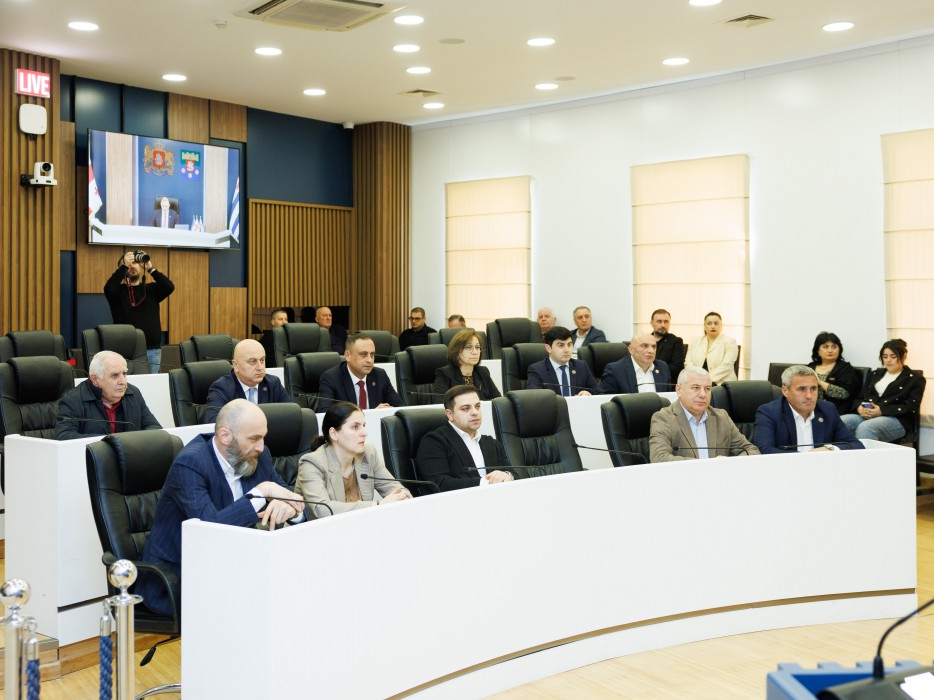 რიგგარეშე სესიის პლენარული სხდომა