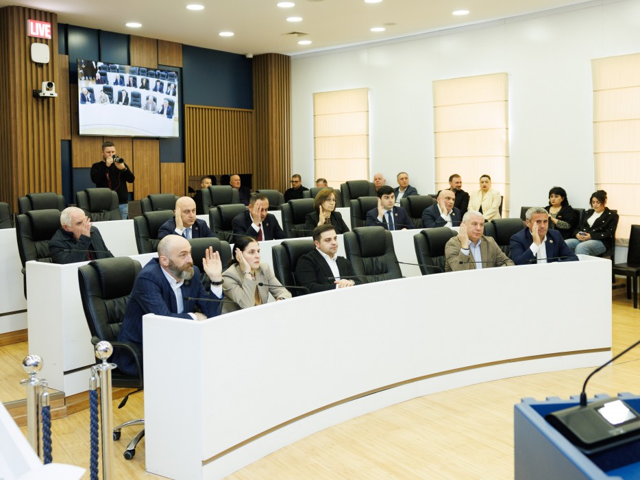 რიგგარეშე სესიის პლენარული სხდომა