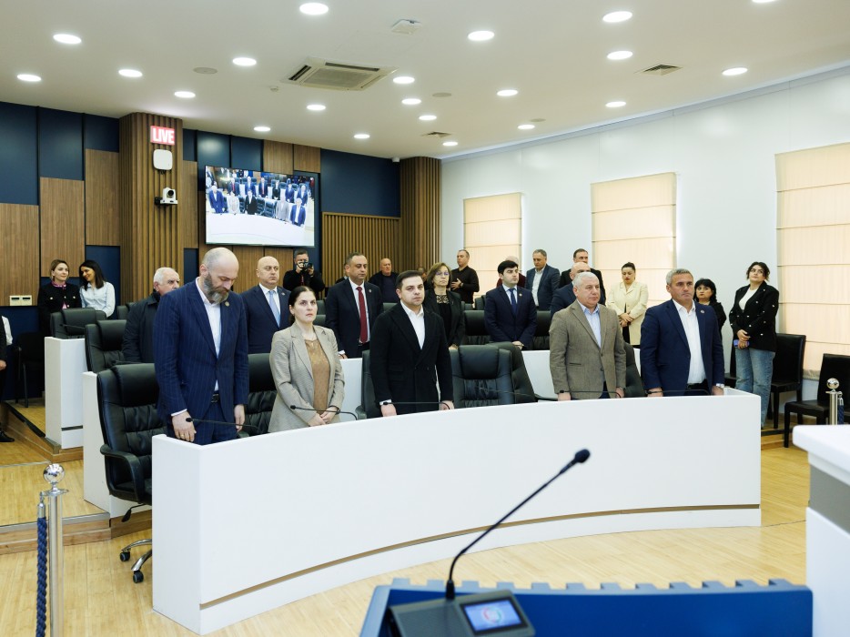 რიგგარეშე სესიის პლენარული სხდომა