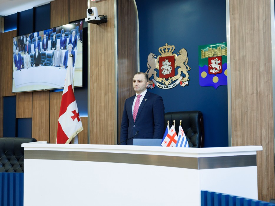 რიგგარეშე სესიის პლენარული სხდომა