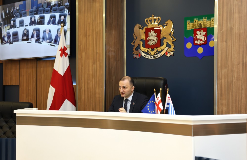 რიგგარეშე სესიის პლენარული სხდომა