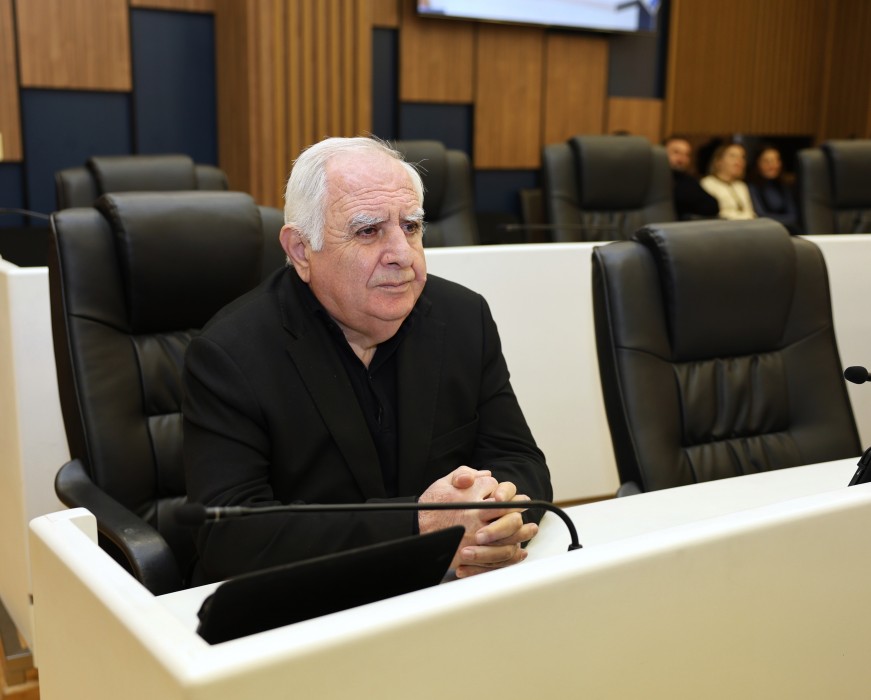 რიგგარეშე სესიის პლენარული სხდომა