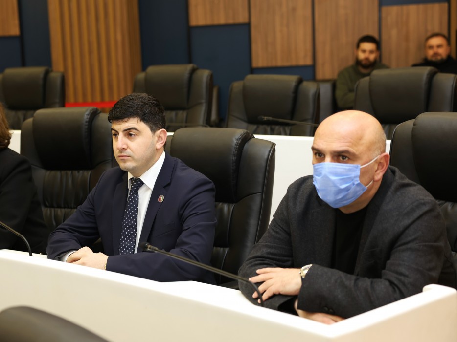 რიგგარეშე სესიის პლენარული სხდომა