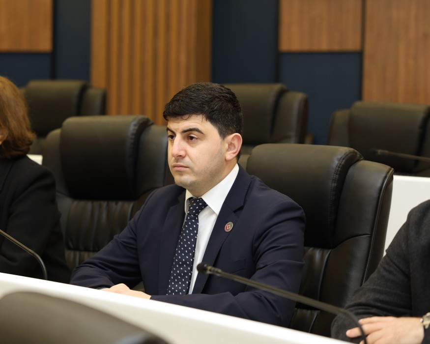 რიგგარეშე სესიის პლენარული სხდომა