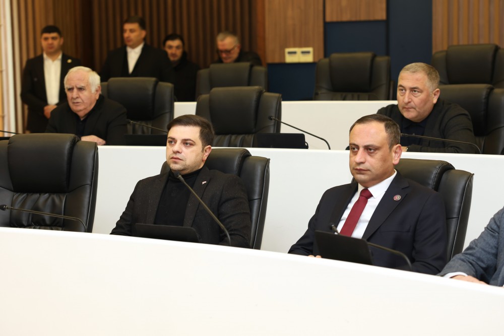 რიგგარეშე სესიის პლენარული სხდომა