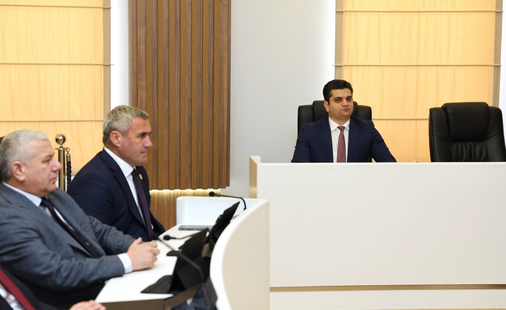 რიგგარეშე სესიის პლენარული სხდომა