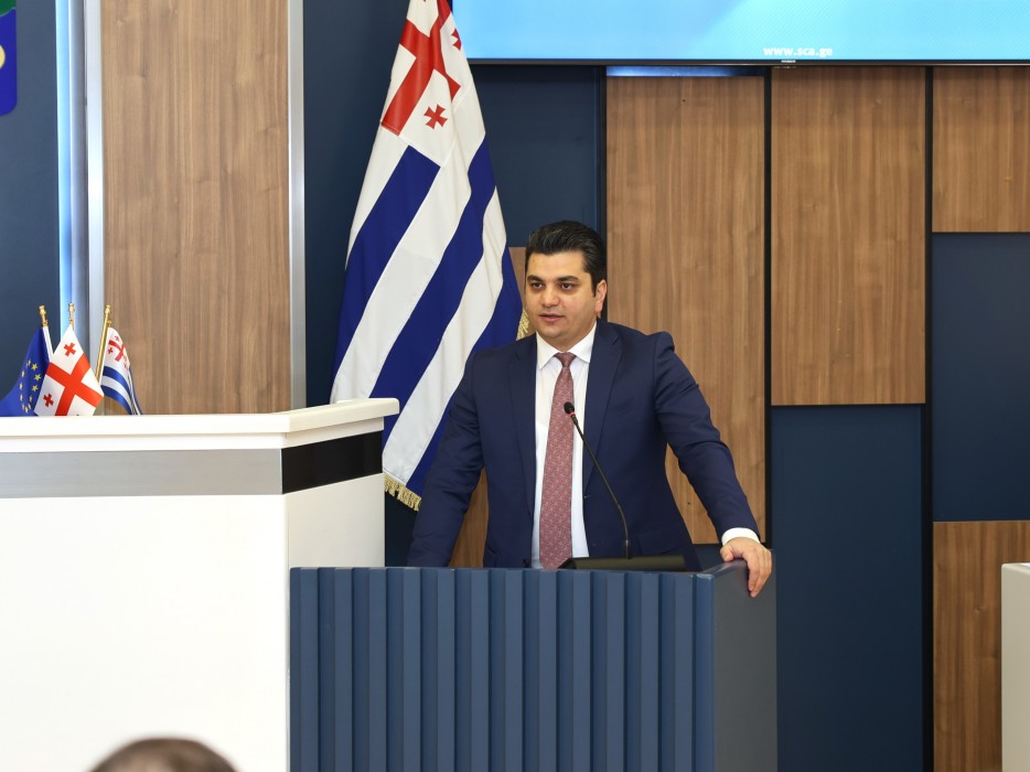 რიგგარეშე სესიის პლენარული სხდომა