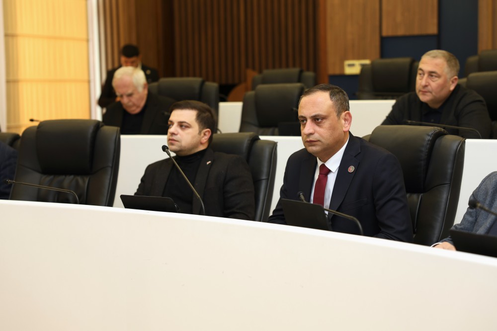 რიგგარეშე სესიის პლენარული სხდომა