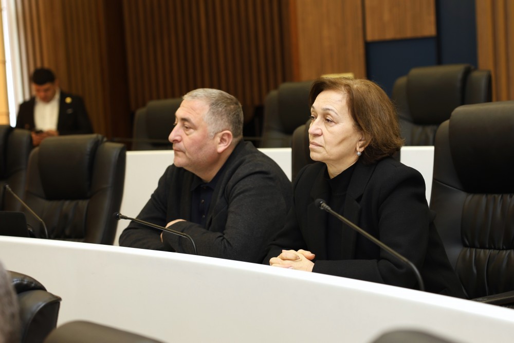 რიგგარეშე სესიის პლენარული სხდომა