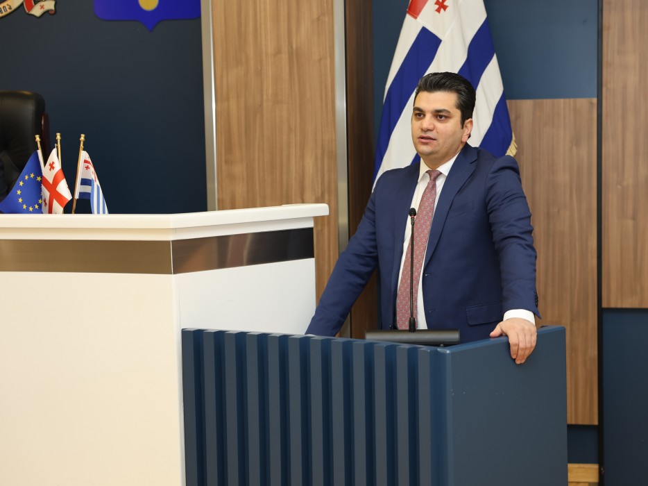 რიგგარეშე სესიის პლენარული სხდომა