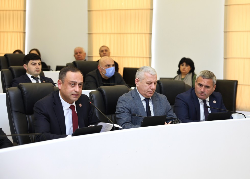 რიგგარეშე სესიის პლენარული სხდომა