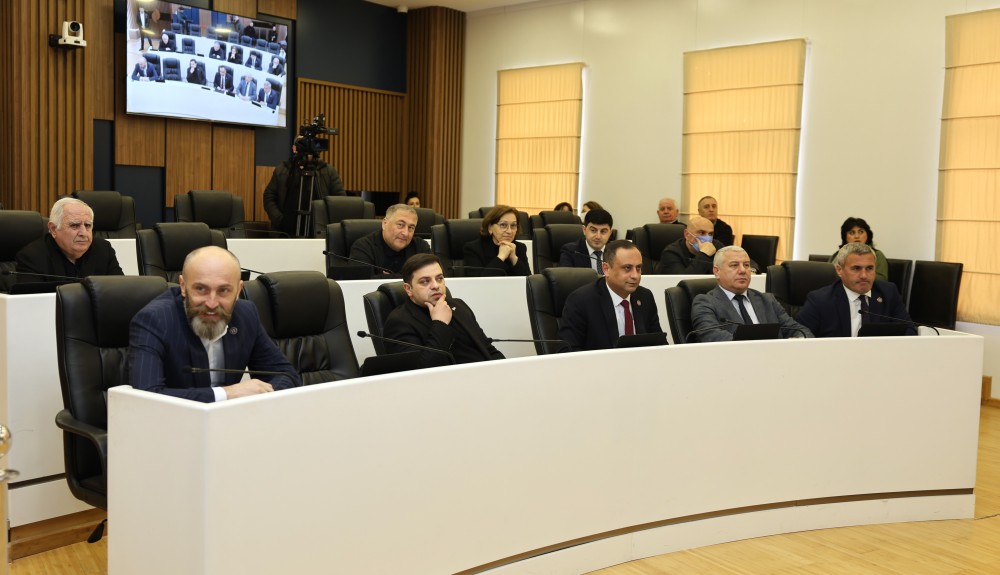 რიგგარეშე სესიის პლენარული სხდომა