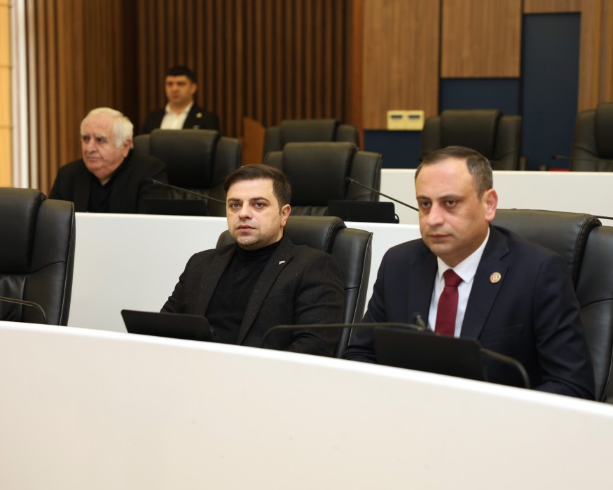 რიგგარეშე სესიის პლენარული სხდომა