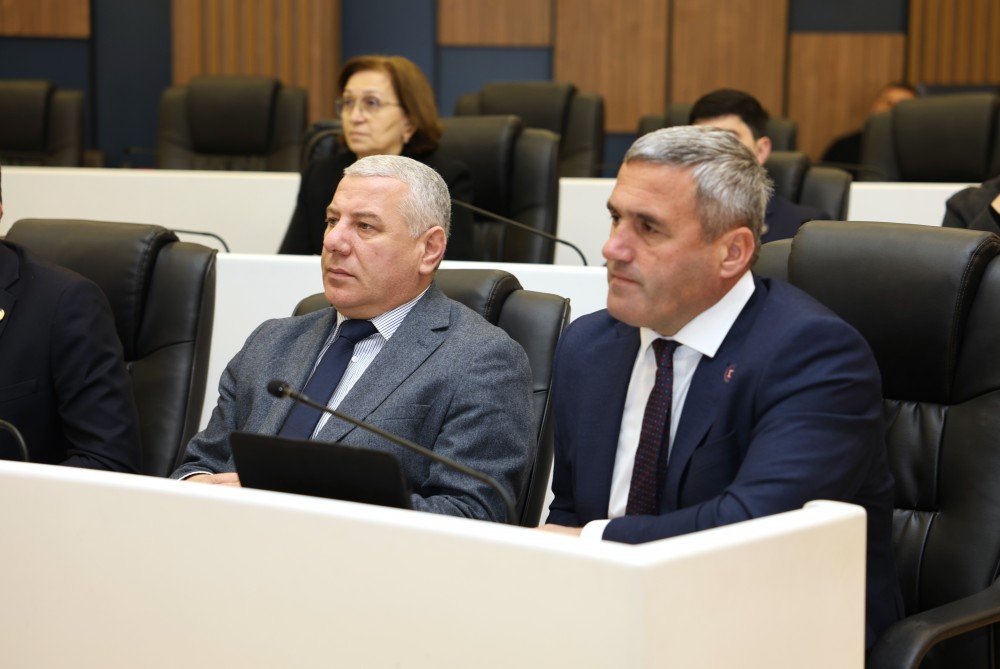 რიგგარეშე სესიის პლენარული სხდომა