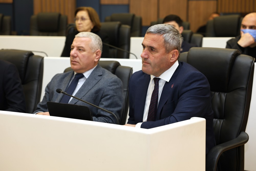 რიგგარეშე სესიის პლენარული სხდომა