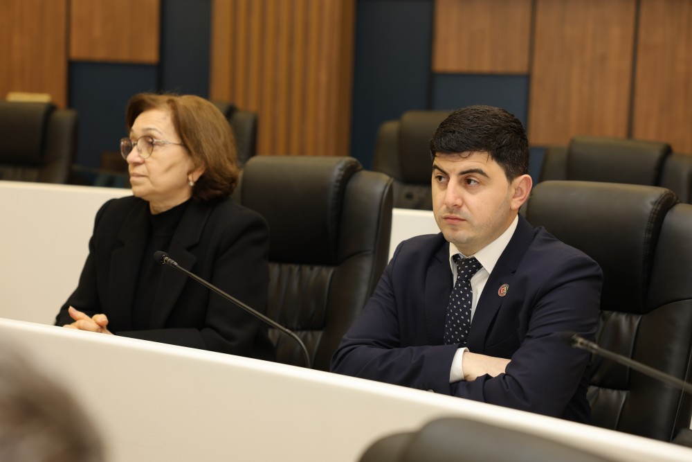 რიგგარეშე სესიის პლენარული სხდომა