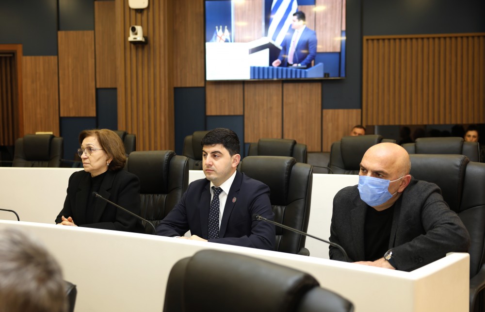 რიგგარეშე სესიის პლენარული სხდომა