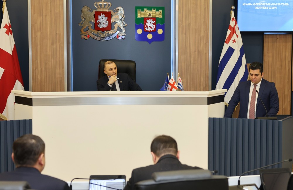 რიგგარეშე სესიის პლენარული სხდომა