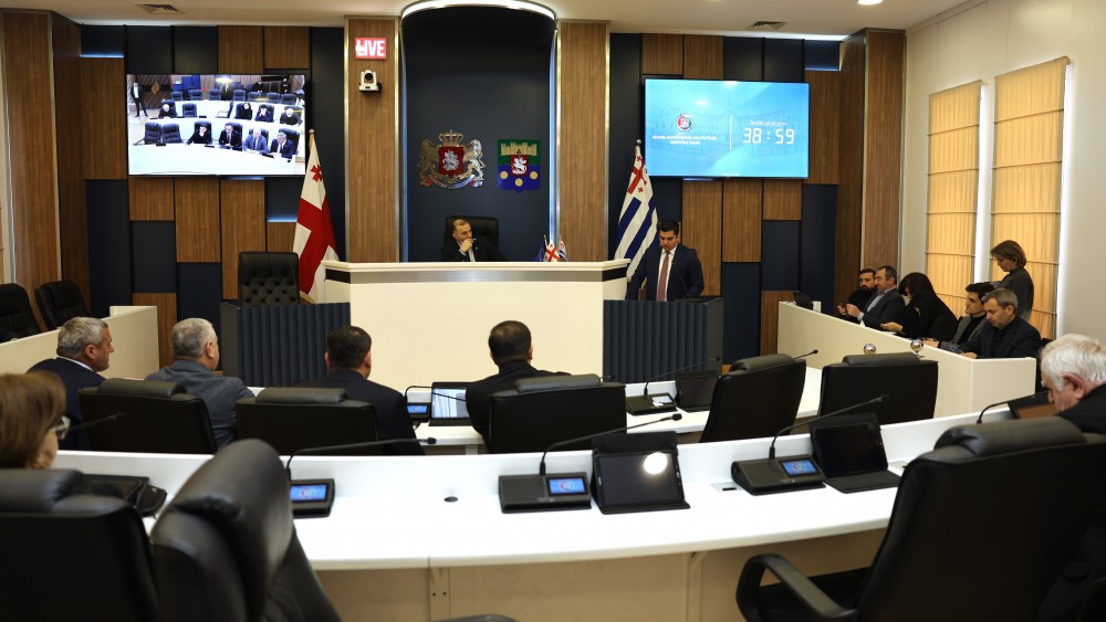 რიგგარეშე სესიის პლენარული სხდომა