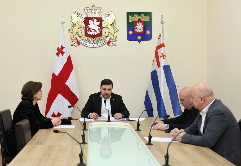 კომიტეტებმა სამოქმედო გეგმები და გასული წლის საქმიანობის ანგარიშები განიხილეს