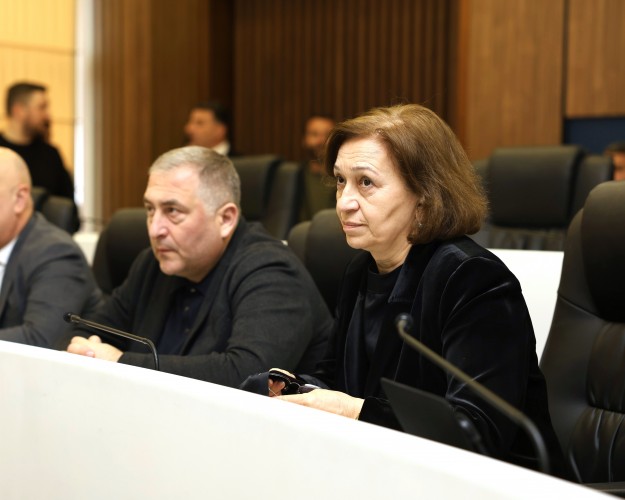 პლენარულ სხდომაზე აჭარის ჯანმრთელობისა და სოციალური დაცვის მინისტრს და უსკოს თავმჯდომარეს მოუსმინეს