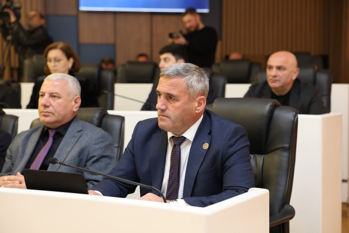 პლენარულ სხდომაზე აჭარის ჯანმრთელობისა და სოციალური დაცვის მინისტრს და უსკოს თავმჯდომარეს მოუსმინეს