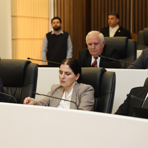 პლენარულ სხდომაზე აჭარის ჯანმრთელობისა და სოციალური დაცვის მინისტრს და უსკოს თავმჯდომარეს მოუსმინეს