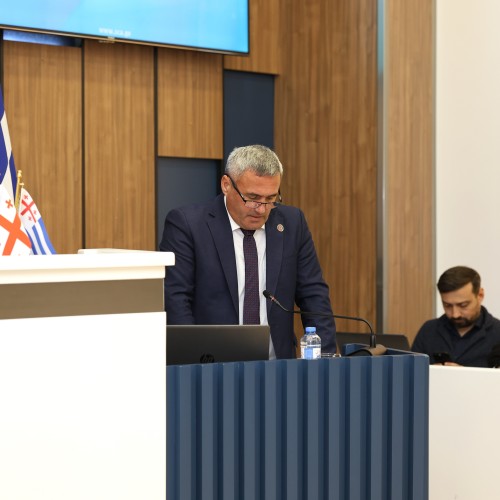 პლენარულ სხდომაზე აჭარის ჯანმრთელობისა და სოციალური დაცვის მინისტრს და უსკოს თავმჯდომარეს მოუსმინეს