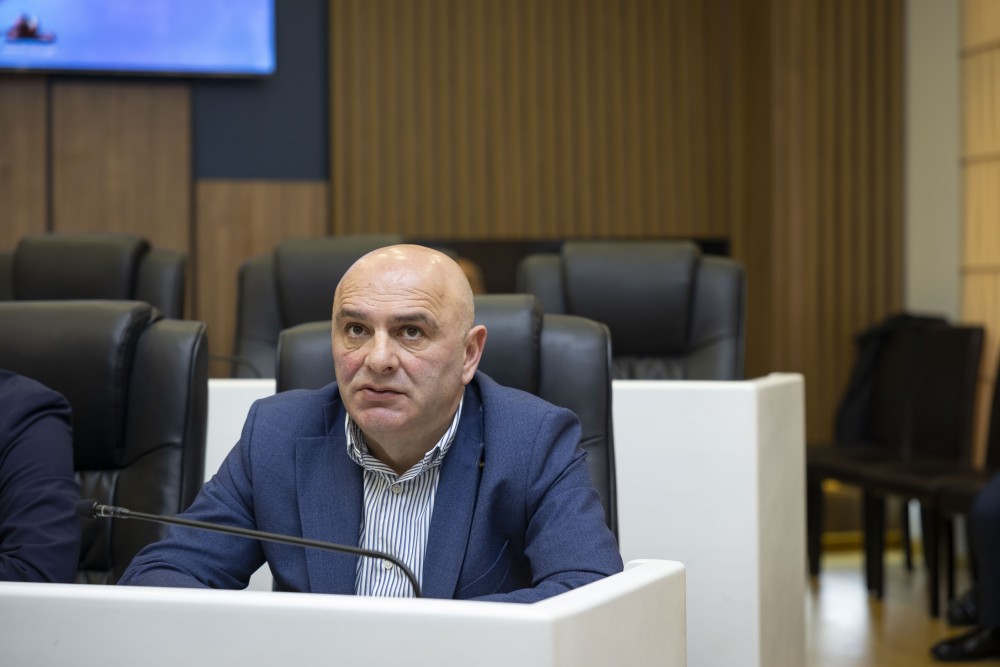 რიგგარეშე პლენარული სხდომა