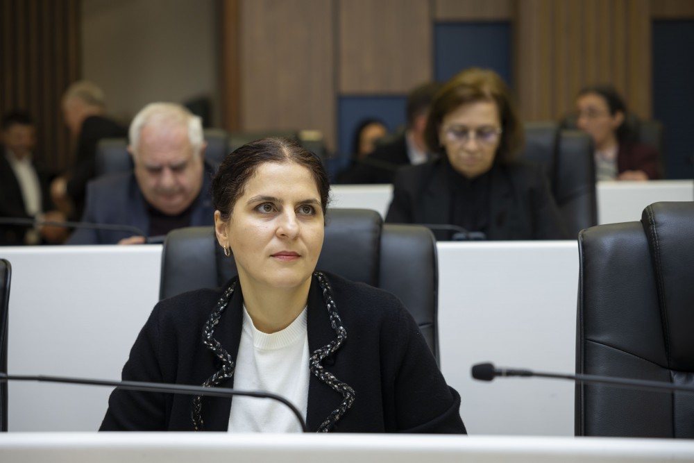 რიგგარეშე პლენარული სხდომა