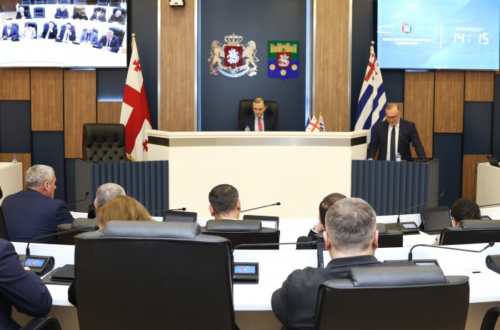 პლენარულ სხდომაზე აჭარის ჯანმრთელობისა და სოციალური დაცვის მინისტრს და უსკოს თავმჯდომარეს მოუსმინეს