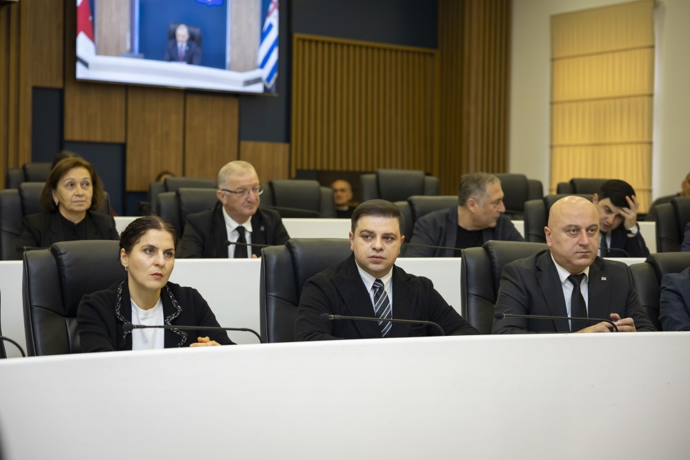 რიგგარეშე პლენარული სხდომა