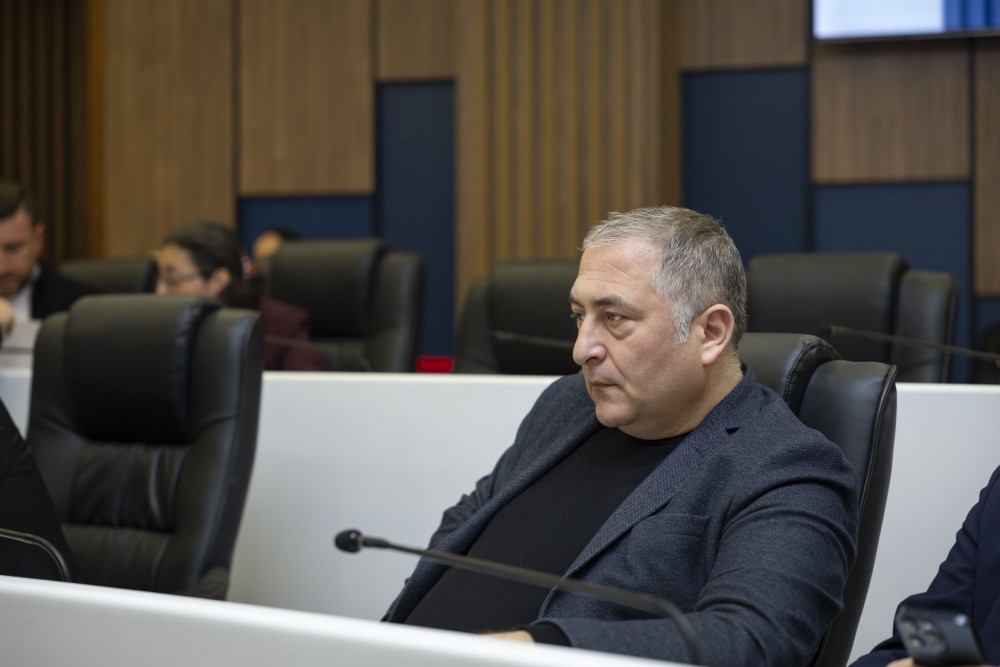 რიგგარეშე პლენარული სხდომა