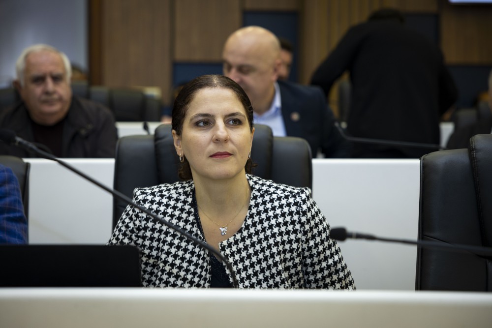 ვახტანგ ბერიძესა და მამუკა თურმანიძეს ვადამდე შეუწყდათ უმაღლესი საბჭოს წევრის უფლებამოსილება