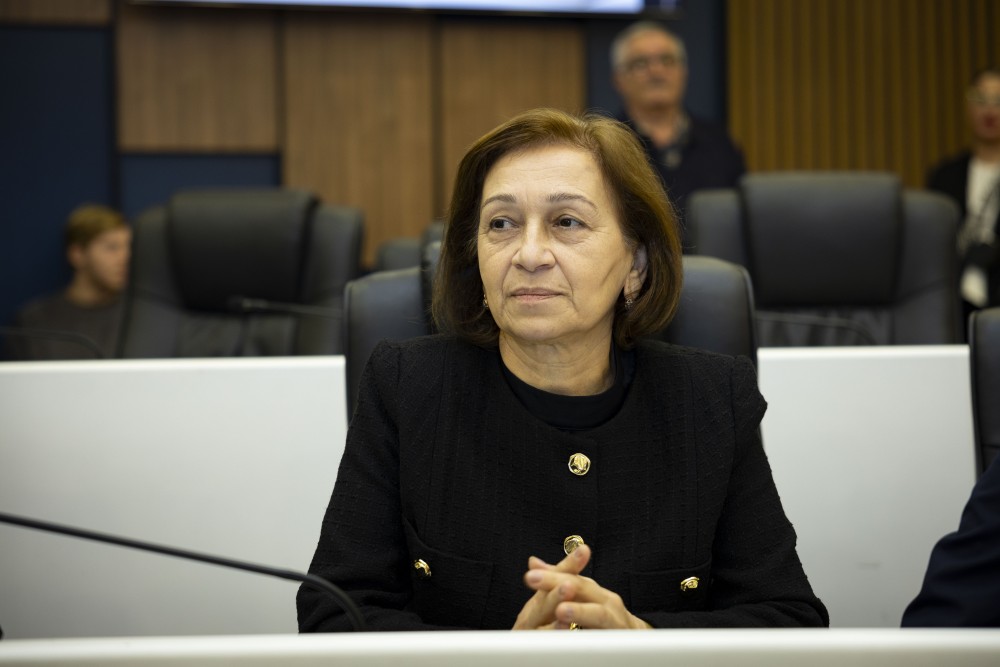 ვახტანგ ბერიძესა და მამუკა თურმანიძეს ვადამდე შეუწყდათ უმაღლესი საბჭოს წევრის უფლებამოსილება