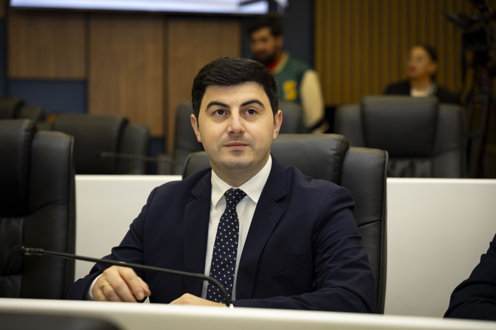 ვახტანგ ბერიძესა და მამუკა თურმანიძეს ვადამდე შეუწყდათ უმაღლესი საბჭოს წევრის უფლებამოსილება