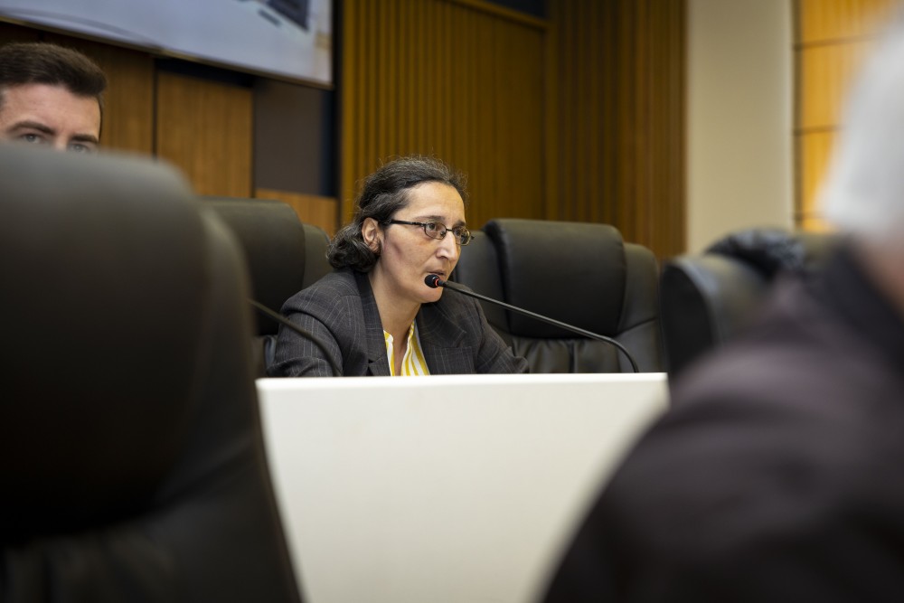 ვახტანგ ბერიძესა და მამუკა თურმანიძეს ვადამდე შეუწყდათ უმაღლესი საბჭოს წევრის უფლებამოსილება