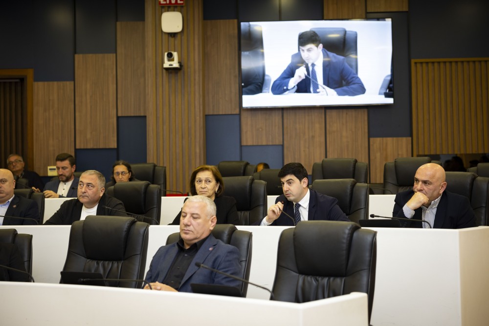 ვახტანგ ბერიძესა და მამუკა თურმანიძეს ვადამდე შეუწყდათ უმაღლესი საბჭოს წევრის უფლებამოსილება