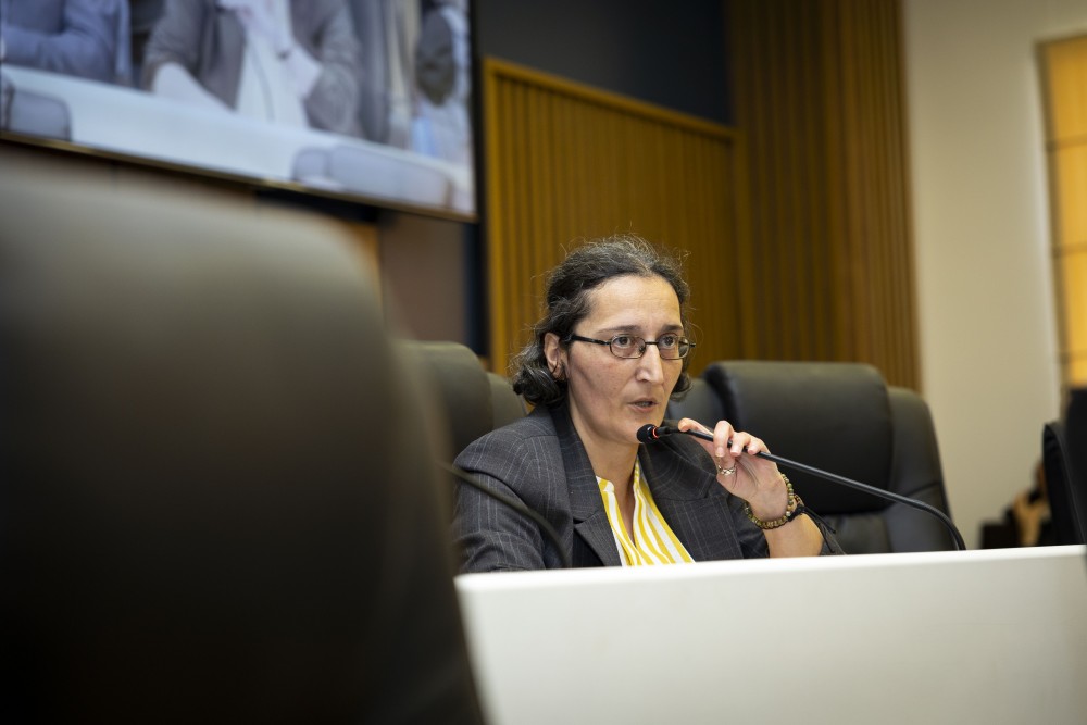 ვახტანგ ბერიძესა და მამუკა თურმანიძეს ვადამდე შეუწყდათ უმაღლესი საბჭოს წევრის უფლებამოსილება