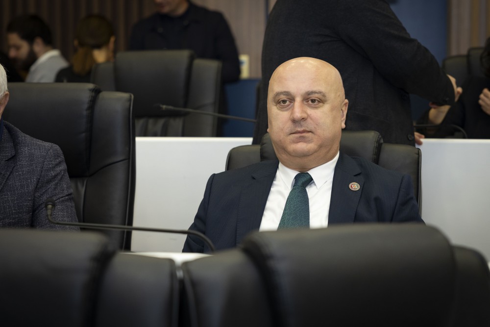 უმაღლეს საბჭოში ორი დარგობრივი კომიტეტის თავმჯდომარე აირჩიეს