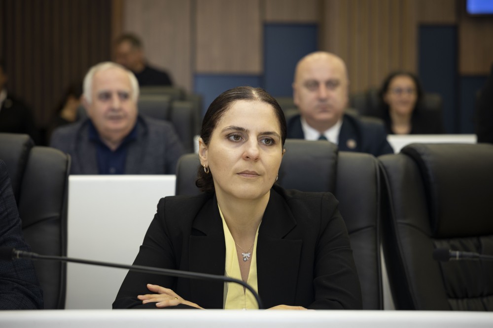 უმაღლეს საბჭოში ორი დარგობრივი კომიტეტის თავმჯდომარე აირჩიეს