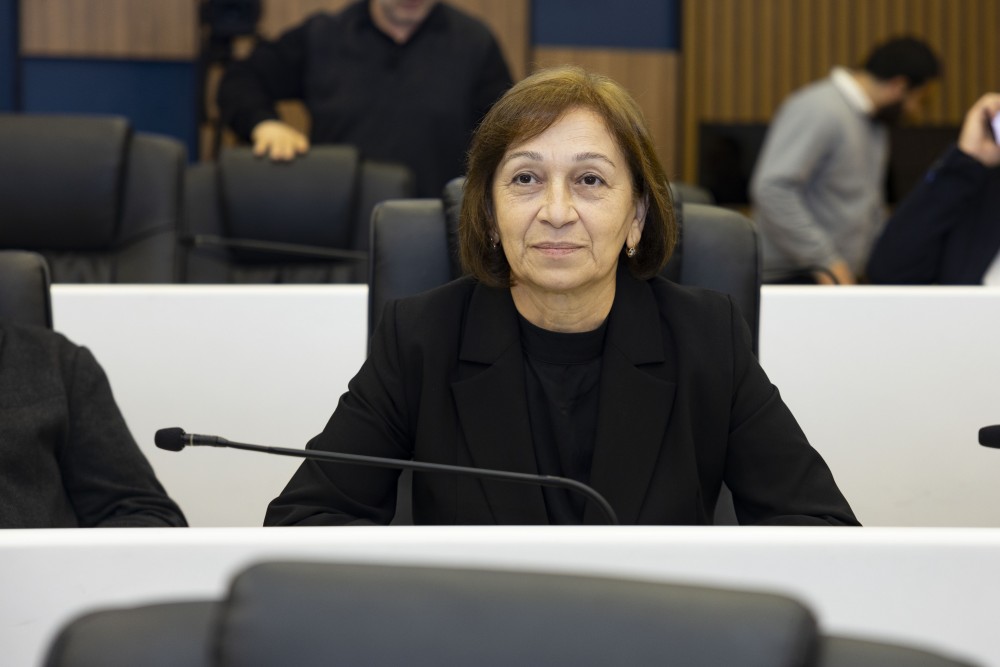 უმაღლეს საბჭოში ორი დარგობრივი კომიტეტის თავმჯდომარე აირჩიეს