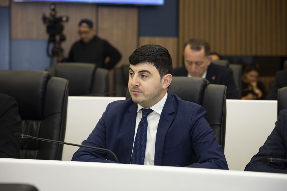 უმაღლეს საბჭოში ორი დარგობრივი კომიტეტის თავმჯდომარე აირჩიეს