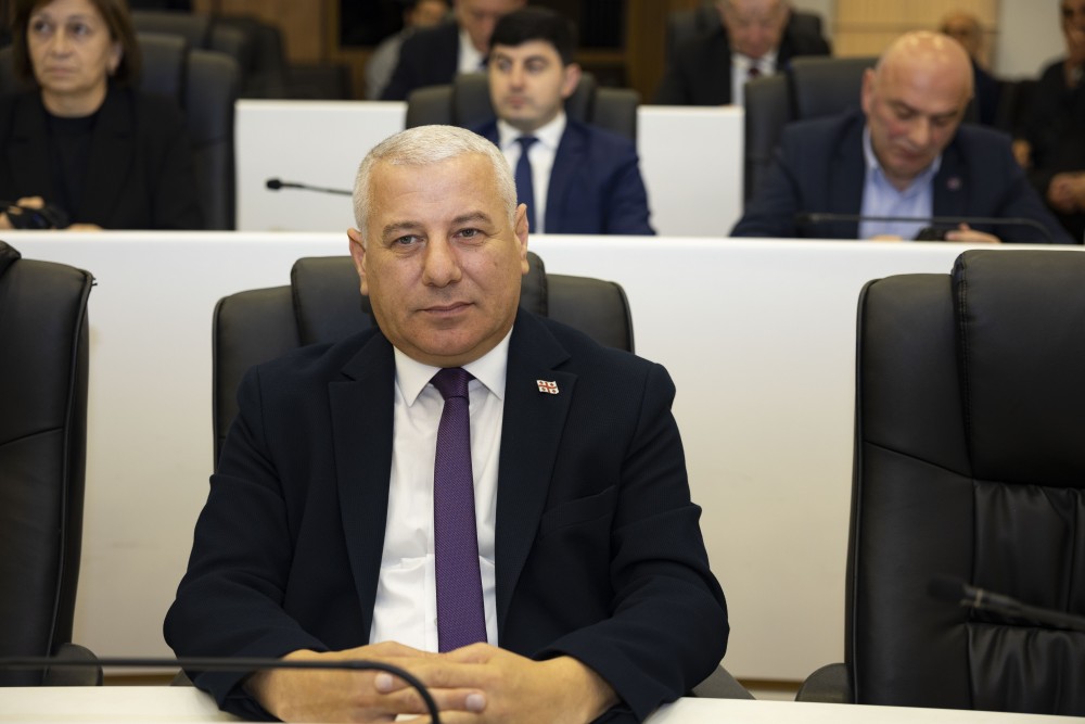 უმაღლეს საბჭოში ორი დარგობრივი კომიტეტის თავმჯდომარე აირჩიეს