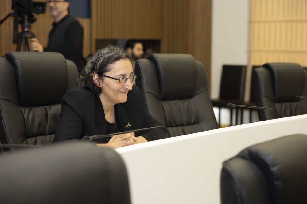 უმაღლეს საბჭოში ორი დარგობრივი კომიტეტის თავმჯდომარე აირჩიეს