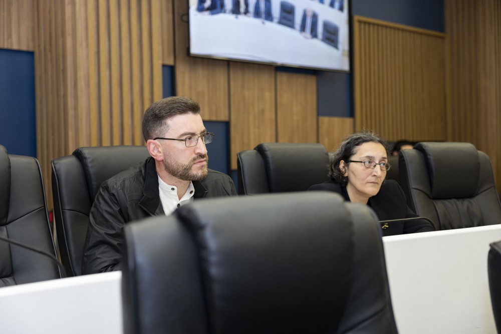 უმაღლეს საბჭოში ორი დარგობრივი კომიტეტის თავმჯდომარე აირჩიეს