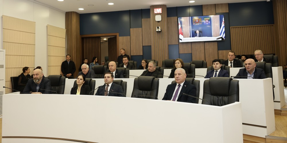 უმაღლეს საბჭოში ორი დარგობრივი კომიტეტის თავმჯდომარე აირჩიეს