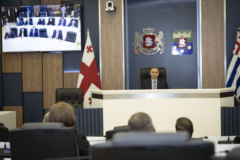 უმაღლეს საბჭოში ორი დარგობრივი კომიტეტის თავმჯდომარე აირჩიეს